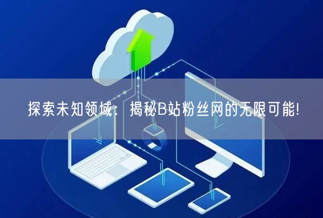 探索未知领域：揭秘B站粉丝网的无限可能!